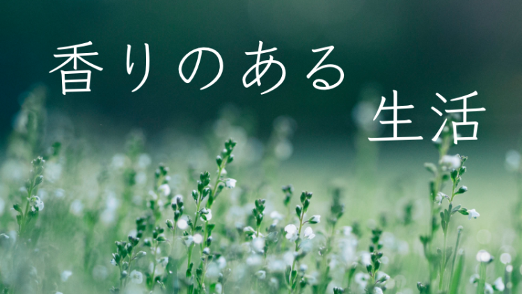 twinkle.
